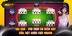 Bài Cào