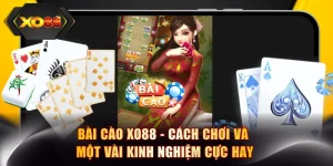 Cào
